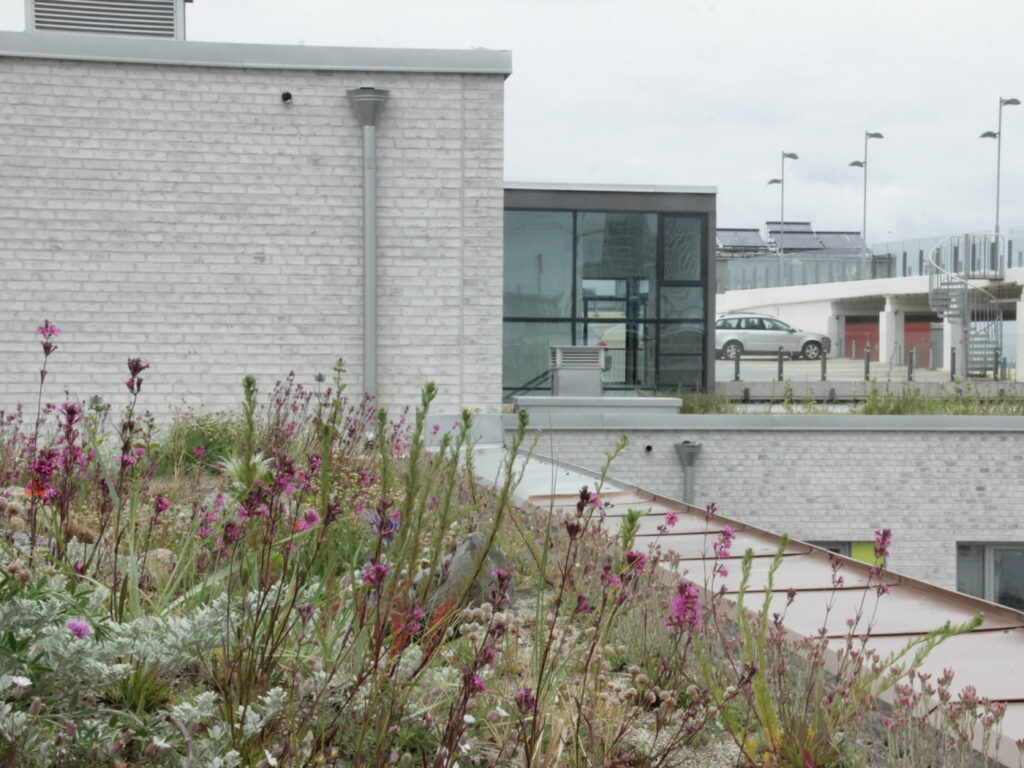 Biodiverse Green Roofs