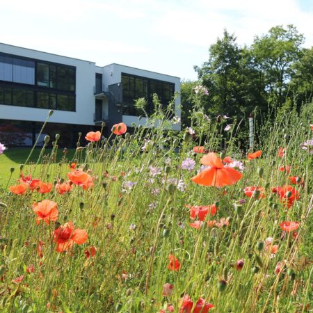 Biodiversity - Bringing Nature Back in the Middle of the Built Environment