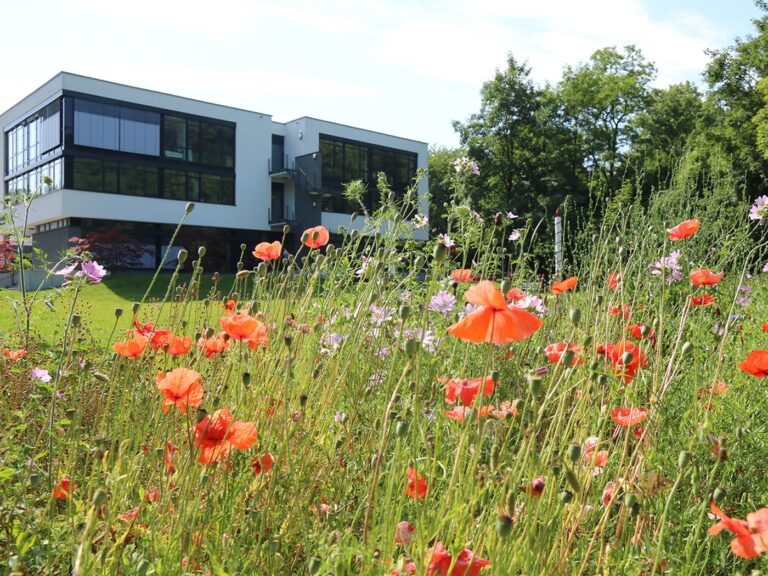 Biodiversity - Bringing Nature Back in the Middle of the Built Environment