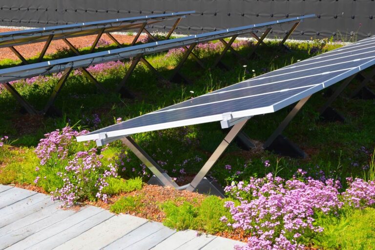 Biosolar green roof system