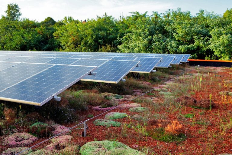 Biosolar green roof system