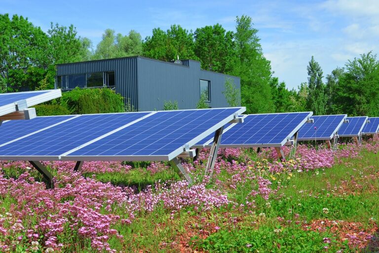 Biosolar green roof system