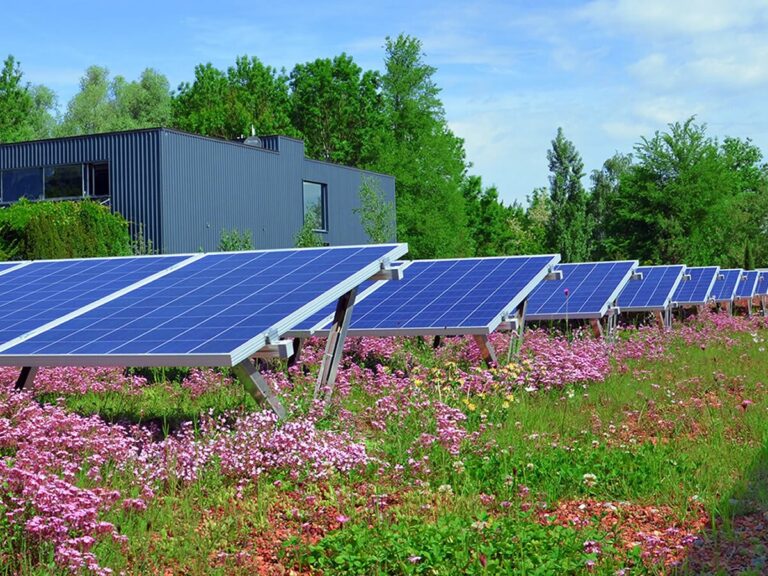 Biosolar Green Roofs