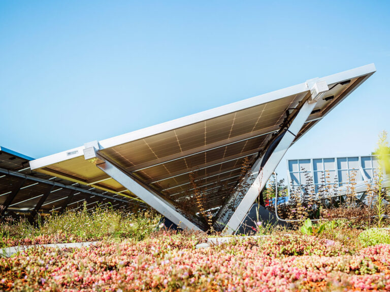 Biosolar Green Roofs Delivering for the Climate and Biodiversity Crisis