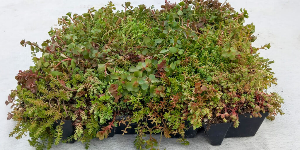 Předpřipravené systémové panely