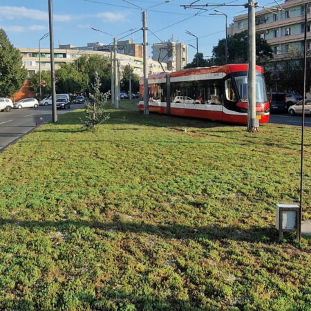 Combating Extreme Hot Temperatures Through the Creation of Urban Nature