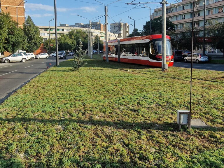 Combating Extreme Hot Temperatures Through the Creation of Urban Nature