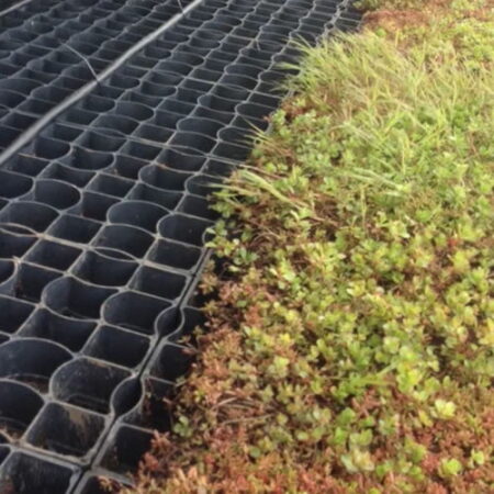 E-Sedum & Gravel Grid