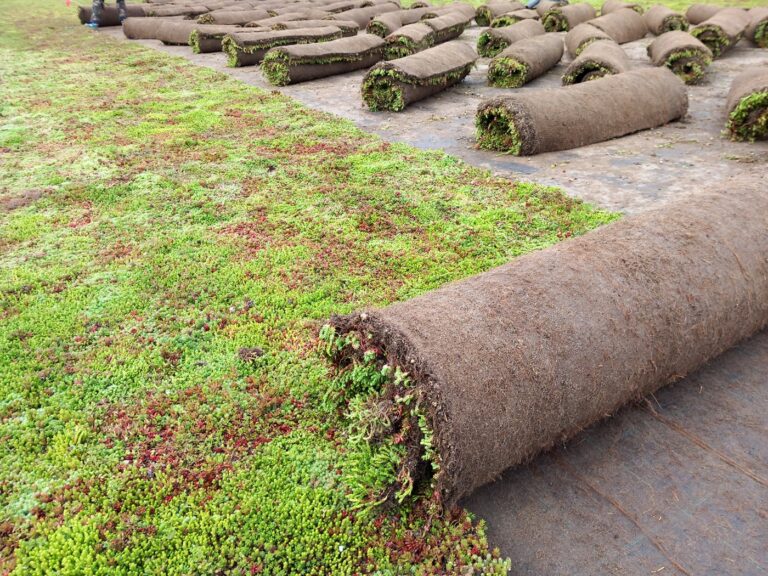 E-SEDUM LIGHT Vegetation Mats