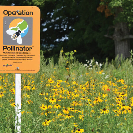 Ecological and economical advantages of biodiverse areas