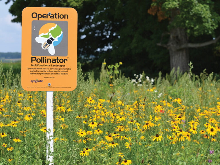 Ecological and economical advantages of biodiverse areas