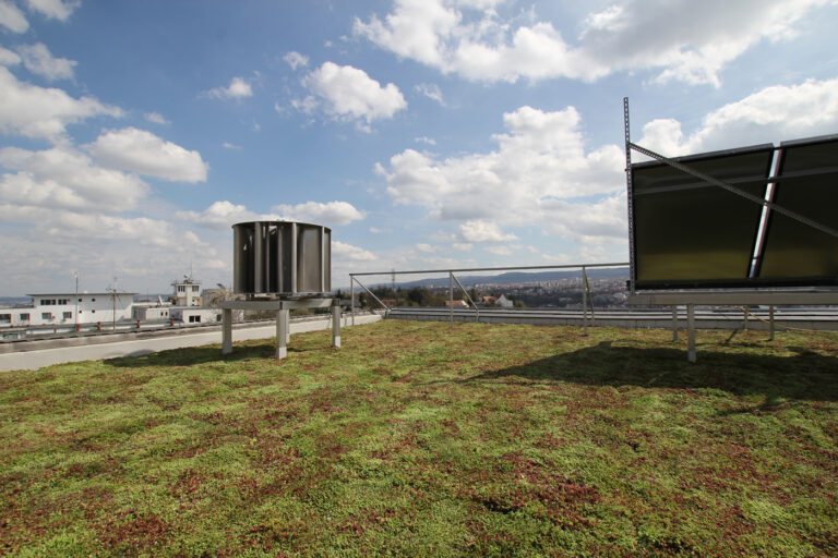 Ecosystem Services of Green Roofs and Possibilities for Their Economic Assessment