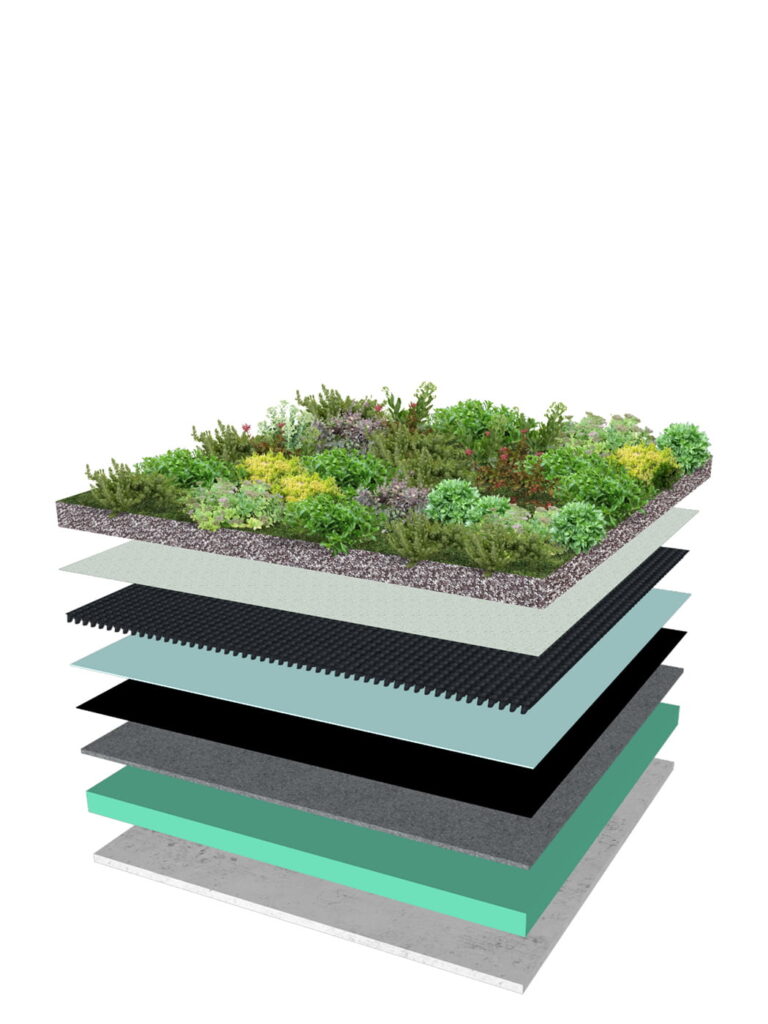 Extensive Green Roof