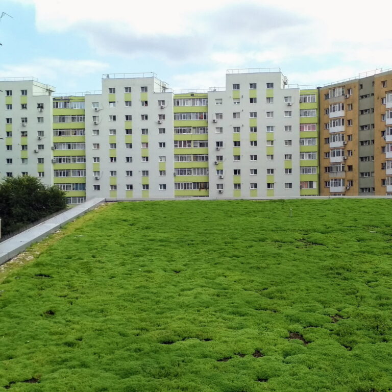Extensive Green Roof