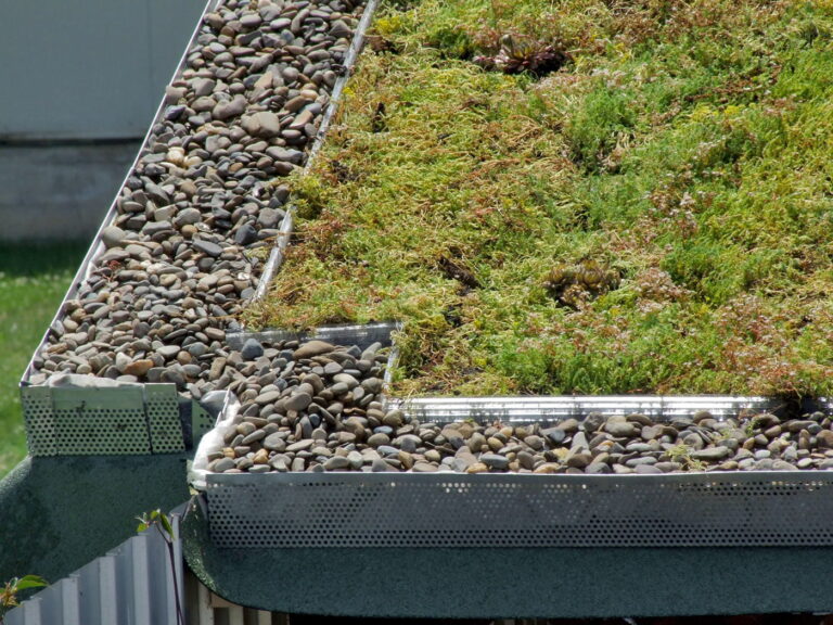 Green Roof Edge Detail