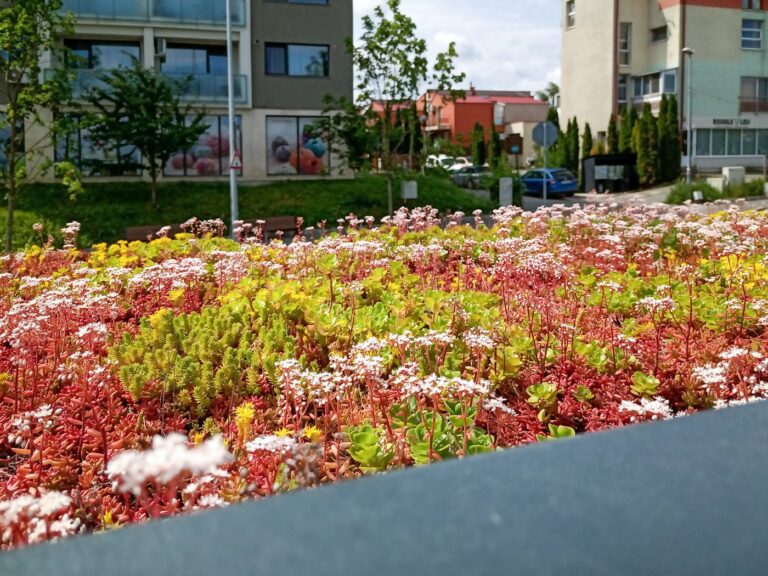 Green Roofs