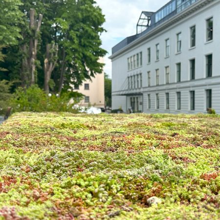 Demonstration workshops of green roofs at Bucharest Horticulture Days 2025