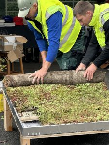 Demonstration workshops of green roofs at Bucharest Horticulture Days 2025