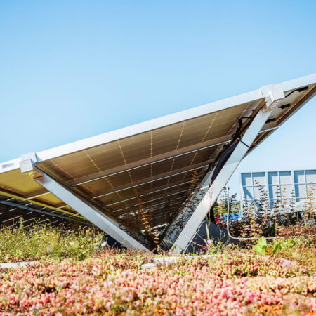 Innovative Systems For Greening Cities