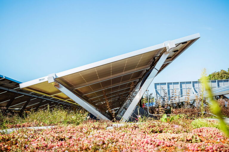 Innovative Systems For Greening Cities