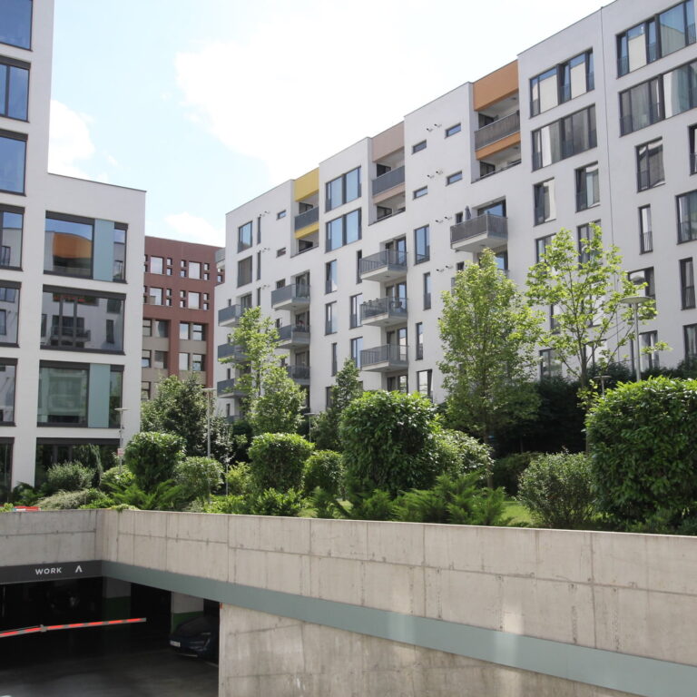 Intensive Green Roof