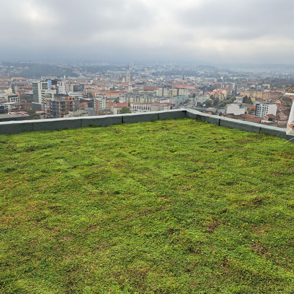 Minerální substrát (vulkanického původu)