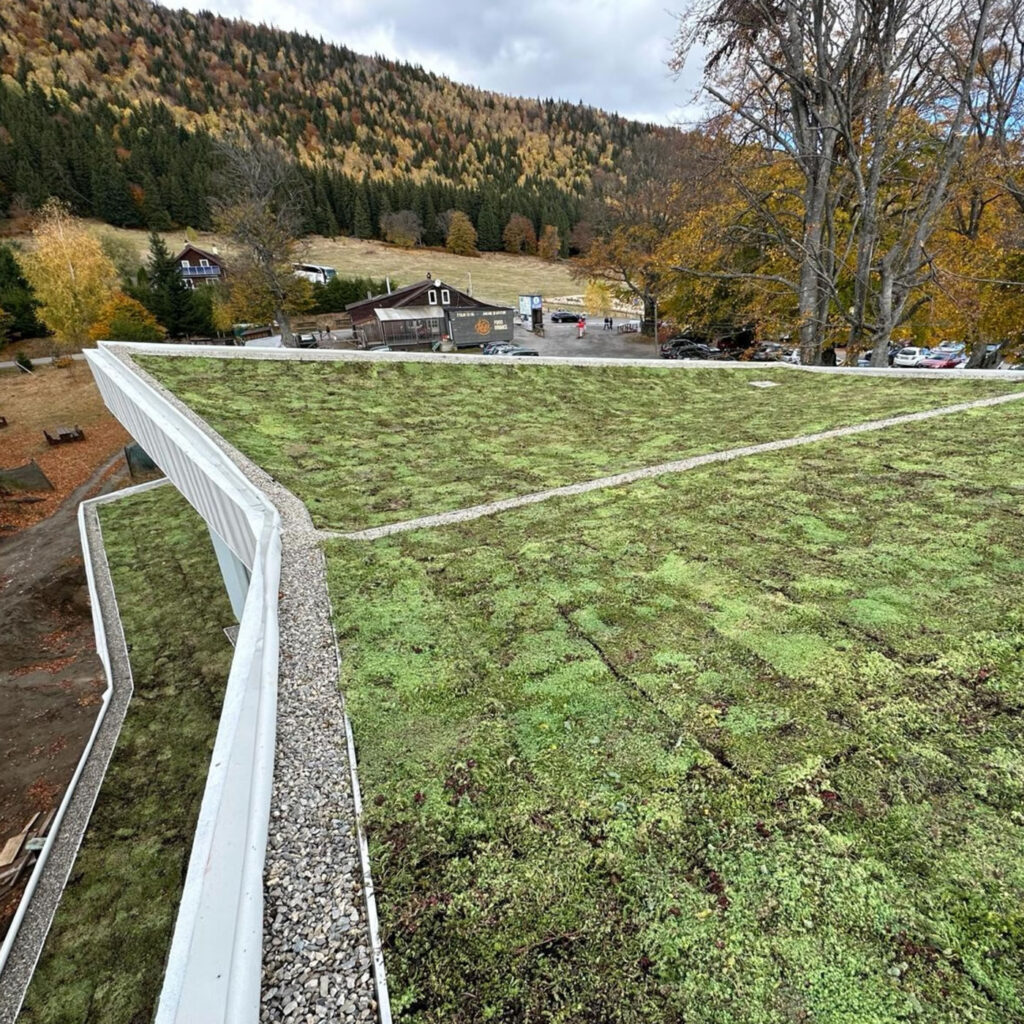 Minerální substrát (vulkanického původu)