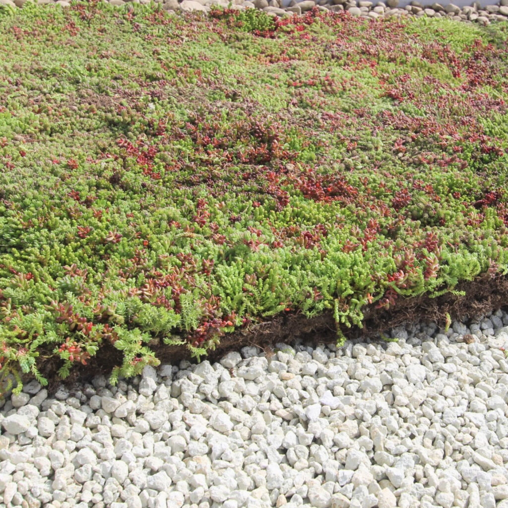 Minerální substrát (vulkanického původu)