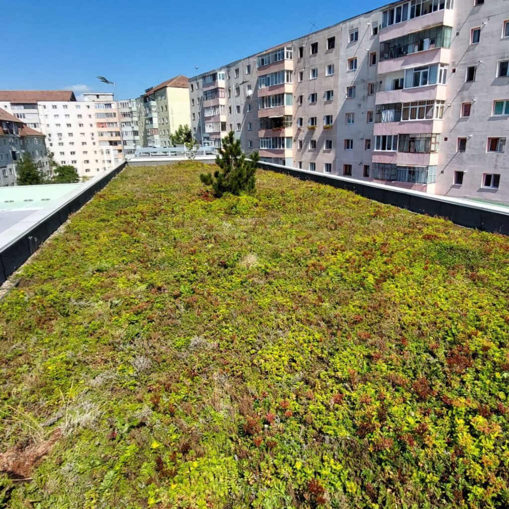 Minerální substrát (vulkanického původu)