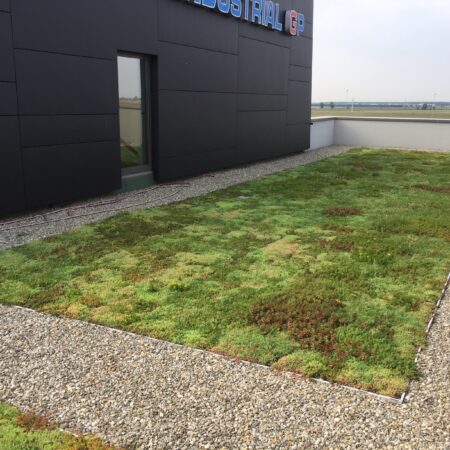 EcoStratos Sedumové rohože