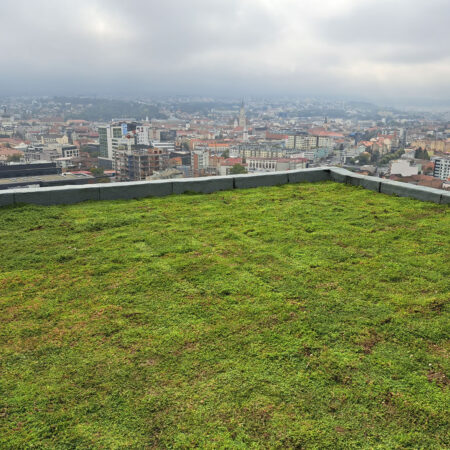 EcoStratos Sedumové rohože