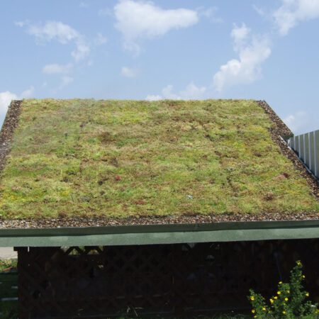 EcoStratos Sedumové rohože