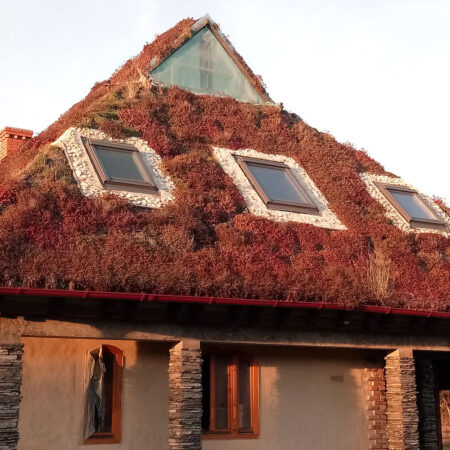 EcoStratos Sedumové rohože