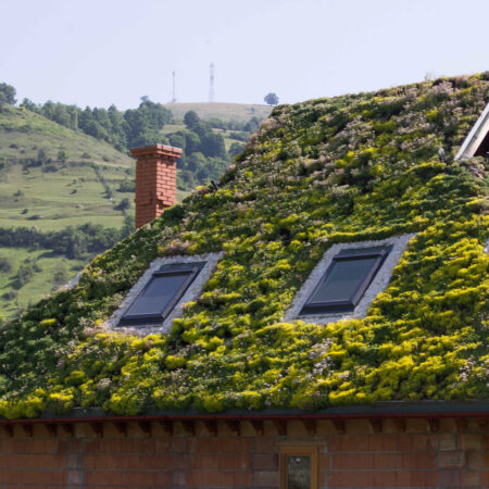 EcoStratos Sedumové rohože