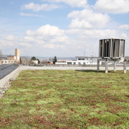 EcoStratos Sedumové rohože