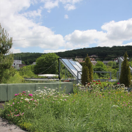 EcoStratos Sedumové rohože