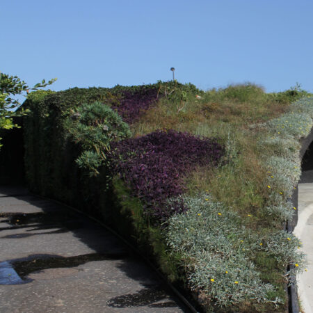 EcoStratos Sedumové rohože