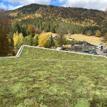 EcoStratos Sedumové rohože