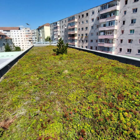 EcoStratos Sedumové rohože