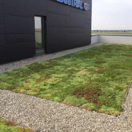 EcoStratos Sedumové rohože