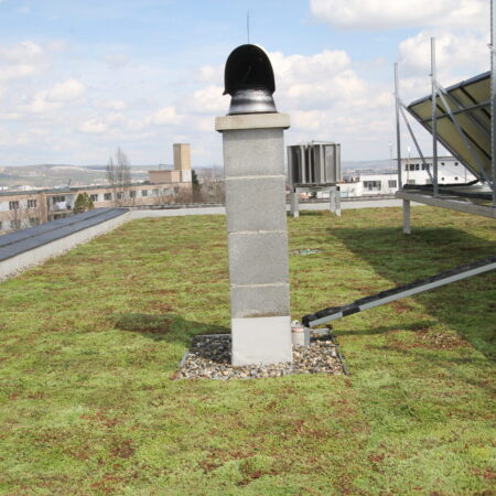 EcoStratos Sedumové rohože