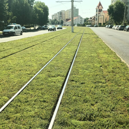 EcoStratos Sedumové rohože