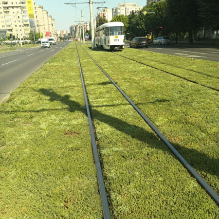 EcoStratos Sedumové rohože