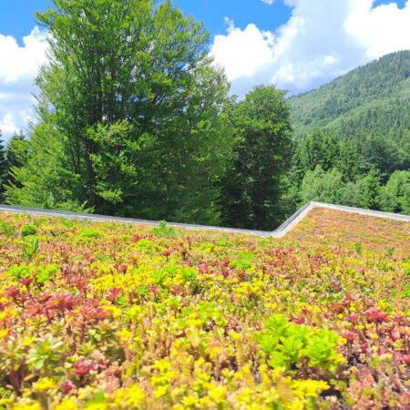 EcoStratos Sedumové rohože