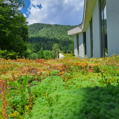 EcoStratos Sedumové rohože