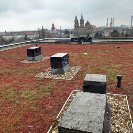 EcoStratos Sedumové rohože