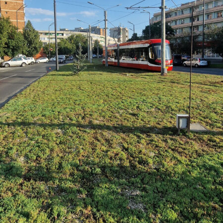 EcoStratos Sedumové rohože