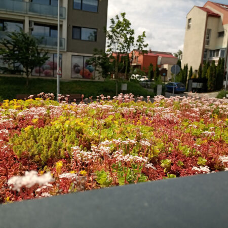 EcoStratos Sedumové rohože