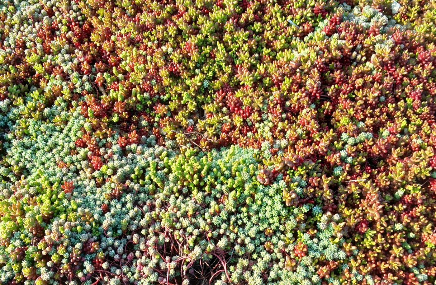 Romania's Water Resources - Current state of water reserves and sustainable future directions