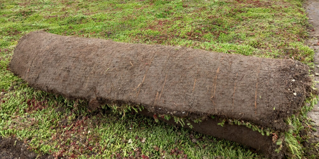 EcoStratos Sedumové rohože